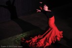 DSC_0220_LindaMozaicFlamenco