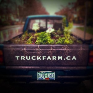 JudyKenzieTruckFarmNon-GMO