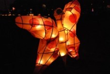 IllumanriesButterflyLantern