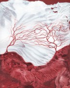 WSW1 DzeeLouise-Situation 1 ForwardBend-8x10in-mixedmediapaper