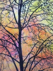 ???????????????????????????????