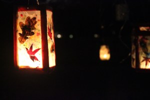 LostSoulsSouthHillLeafLatnernIMG_8085