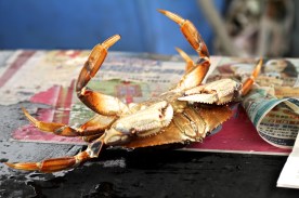ChinatownCrab