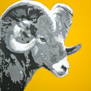 LJThrostleBigHornSheep