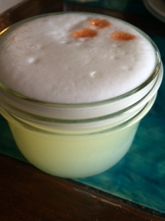 MPTourChichaPiscoSour