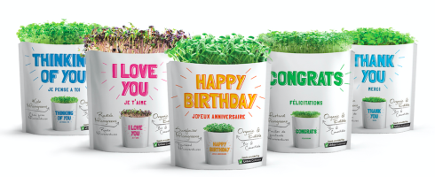 Postcard-mini_2048x2048