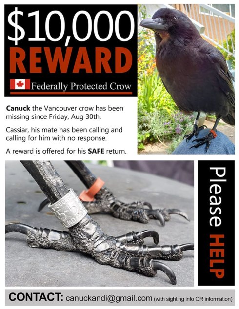CanuckReward$10,000
